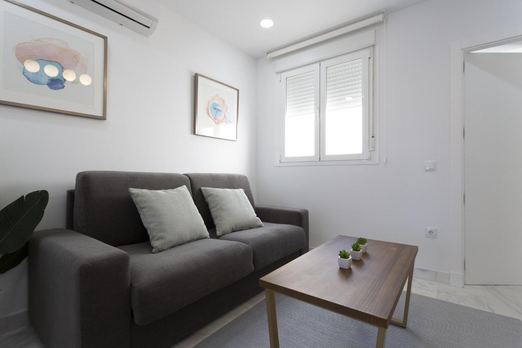 Apartment Brujula Ground Floor Indoor By Cadiz4rentals Cadiz